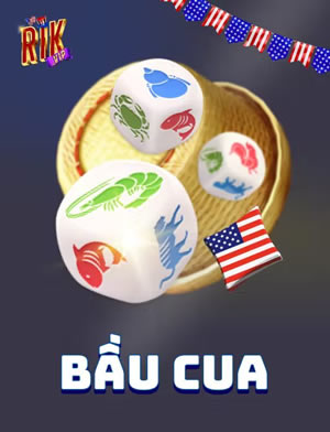 Tam Cúc Miền Bắc